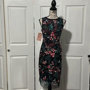 BHLDN Altha Dress (Also sold in Anthropologie)